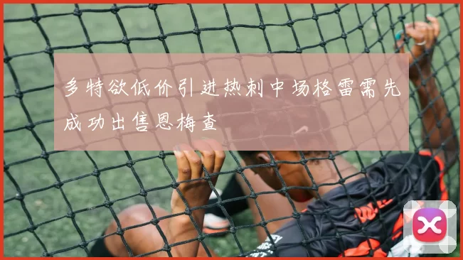 多特欲低价引进热刺中场格雷需先成功出售恩梅查